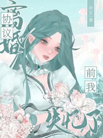 协议离婚前我失忆了